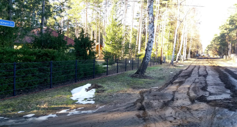 Borkwalde